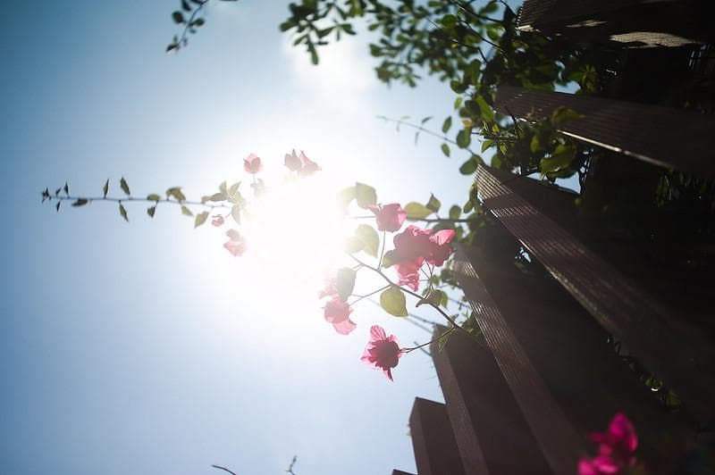 4　希少【RED P】 美品　沈胴式オールドレンズ インダスター22　L39