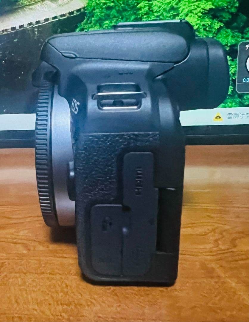 Canon EOS R10 ボディ　ケース付き