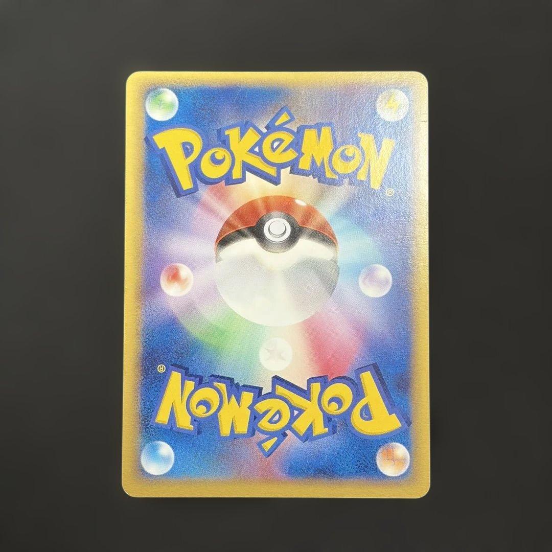 【希少ポケパーク限定】ポケモンカードゲーム フォレストシート プレミアムファイル