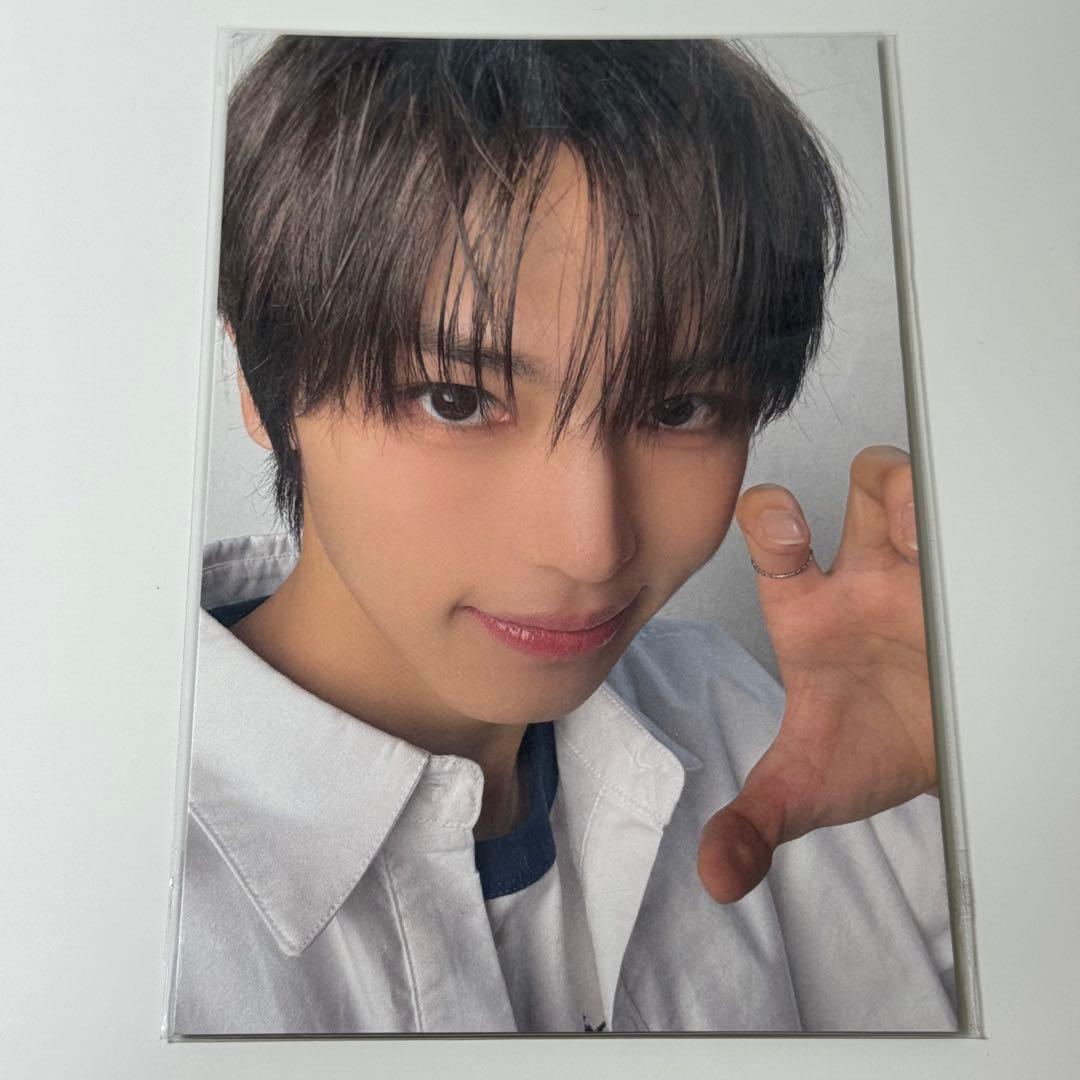 過*酸様 ボイプラ ボイプラ2 コレクトブック 上海 北京 中国 トレカ イヌ