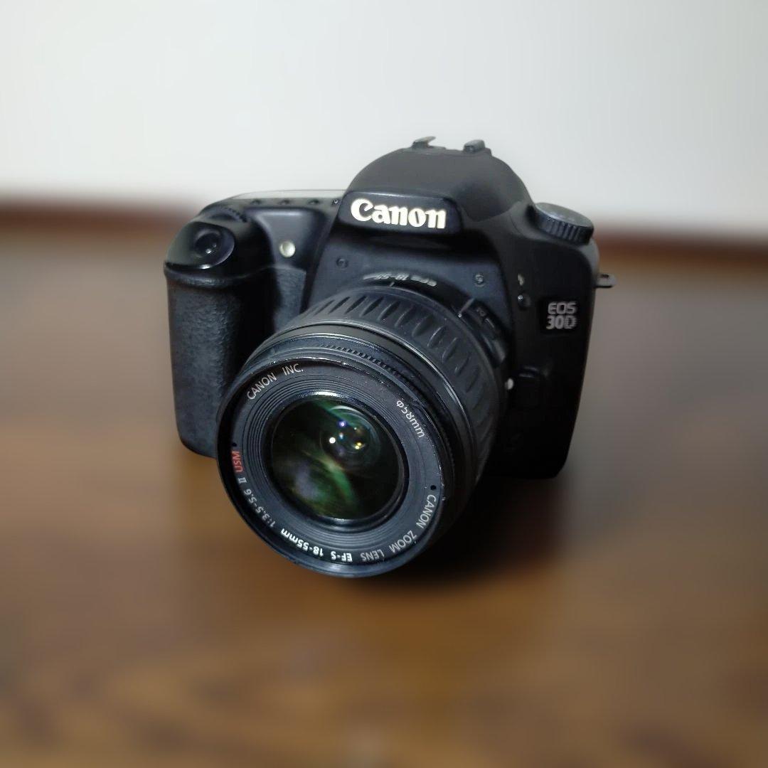Canon EOS 30D ズームレンズセット