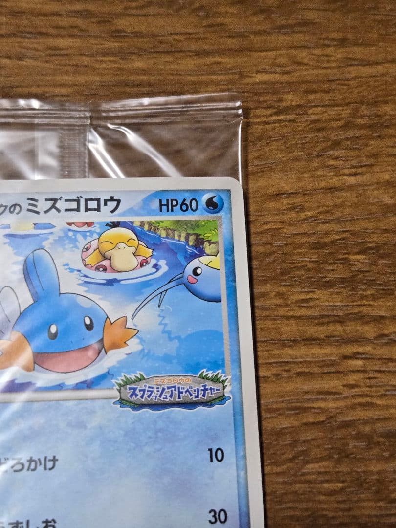ポケパークのミズゴロウ プロモ 048/PCG-P ポケモンカード