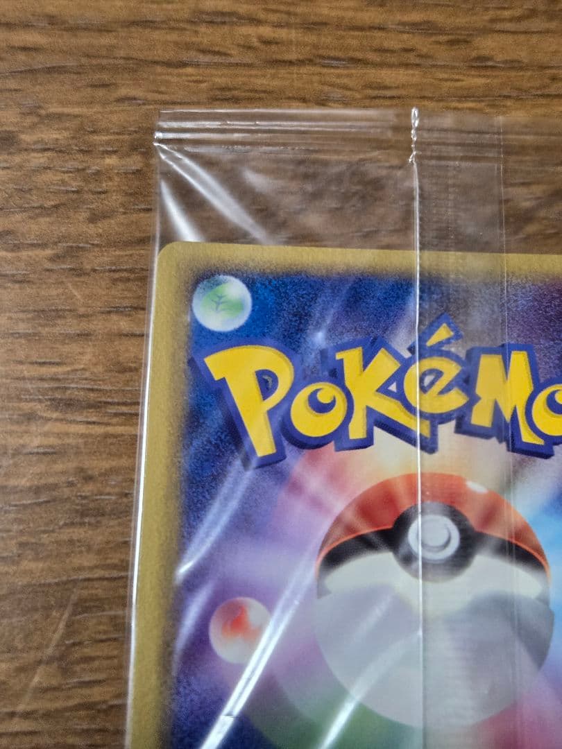 ポケパークのミズゴロウ プロモ 048/PCG-P ポケモンカード