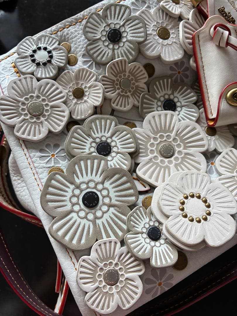 コーチローグ25 ティーローズ