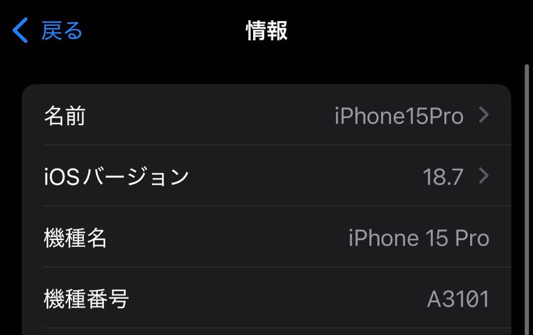 Apple iPhone15Pro 128GB 極美品