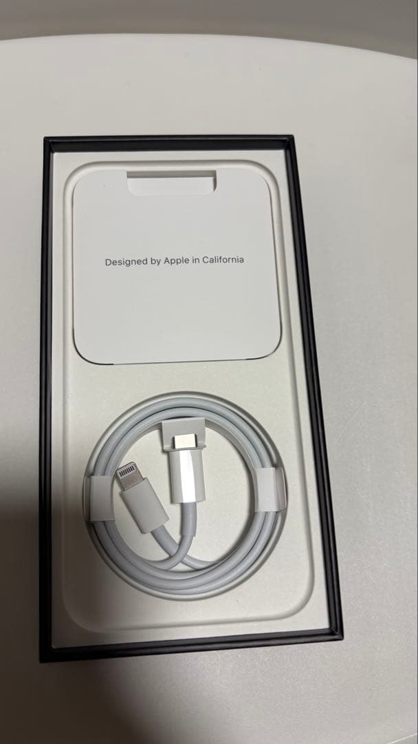 iPhone 13Pro 256GB シルバー