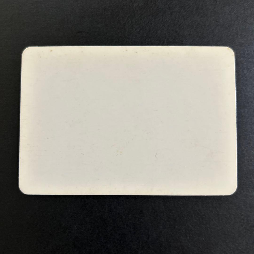 【超貴重!!】ドラゴンボール Z スペシャルカード　孫悟空・孫悟飯