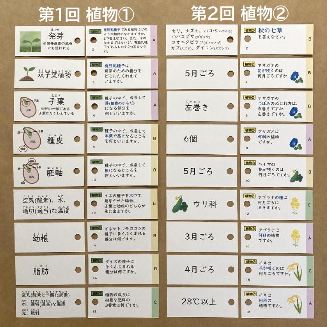 【中学受験】理科の基本事項 5・6年 暗記カード フルセットa