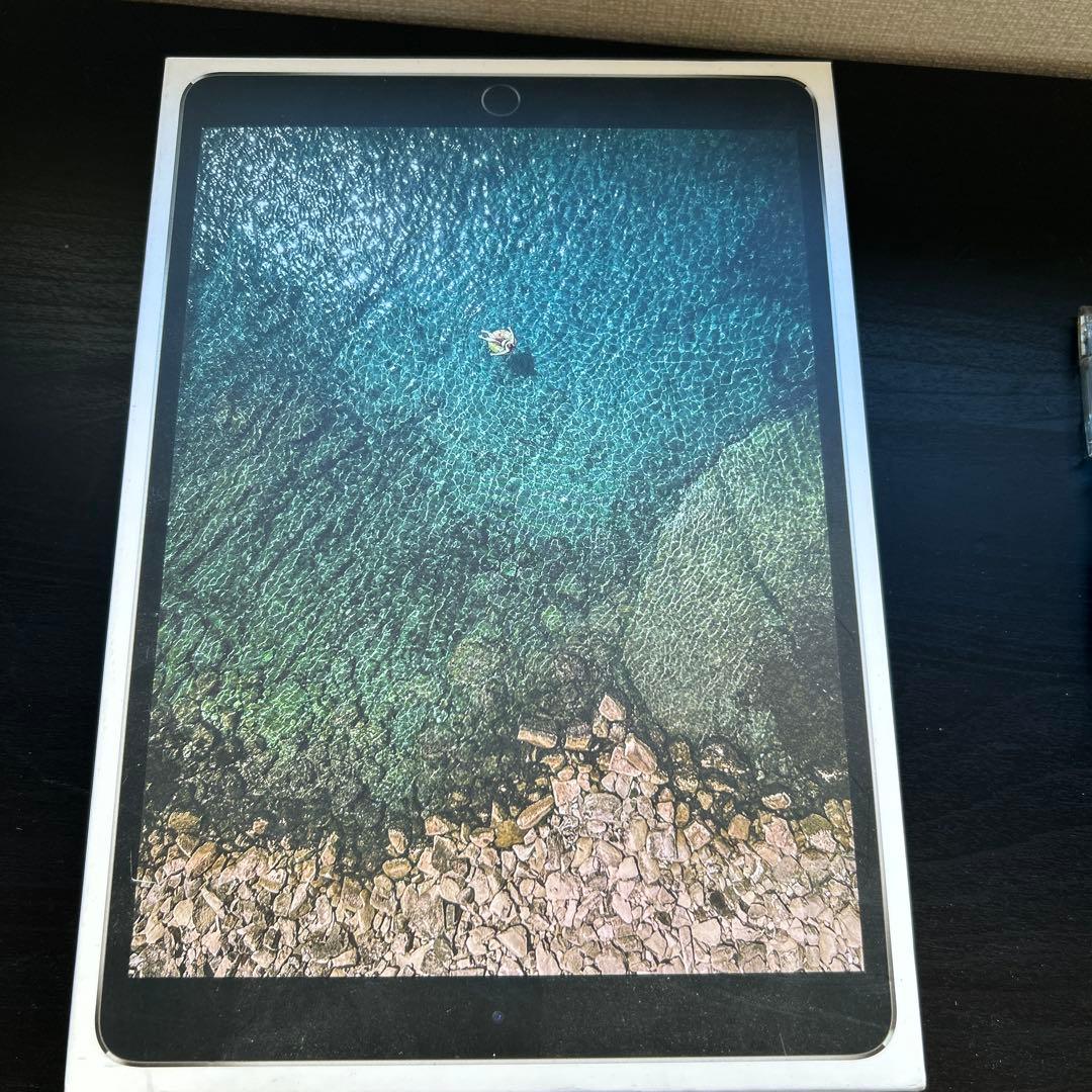 iPad Pro 10.5インチ 256GB Wi-Fiモデル スペースグレイ