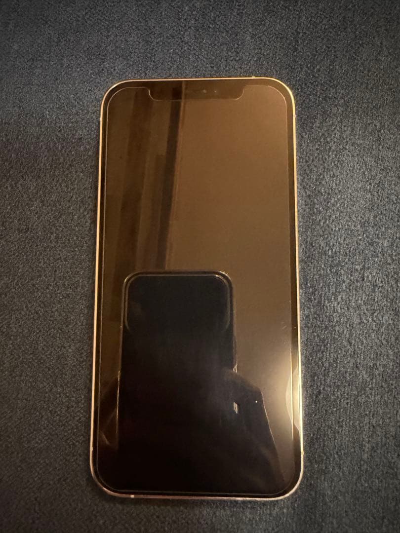 Apple iPhone 12Pro 256GB(シルバー)