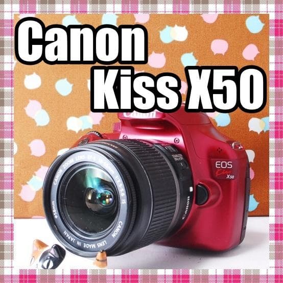 ✨元箱あり豪華セット✨新品同様✨Canon Kiss X50 レンズセット