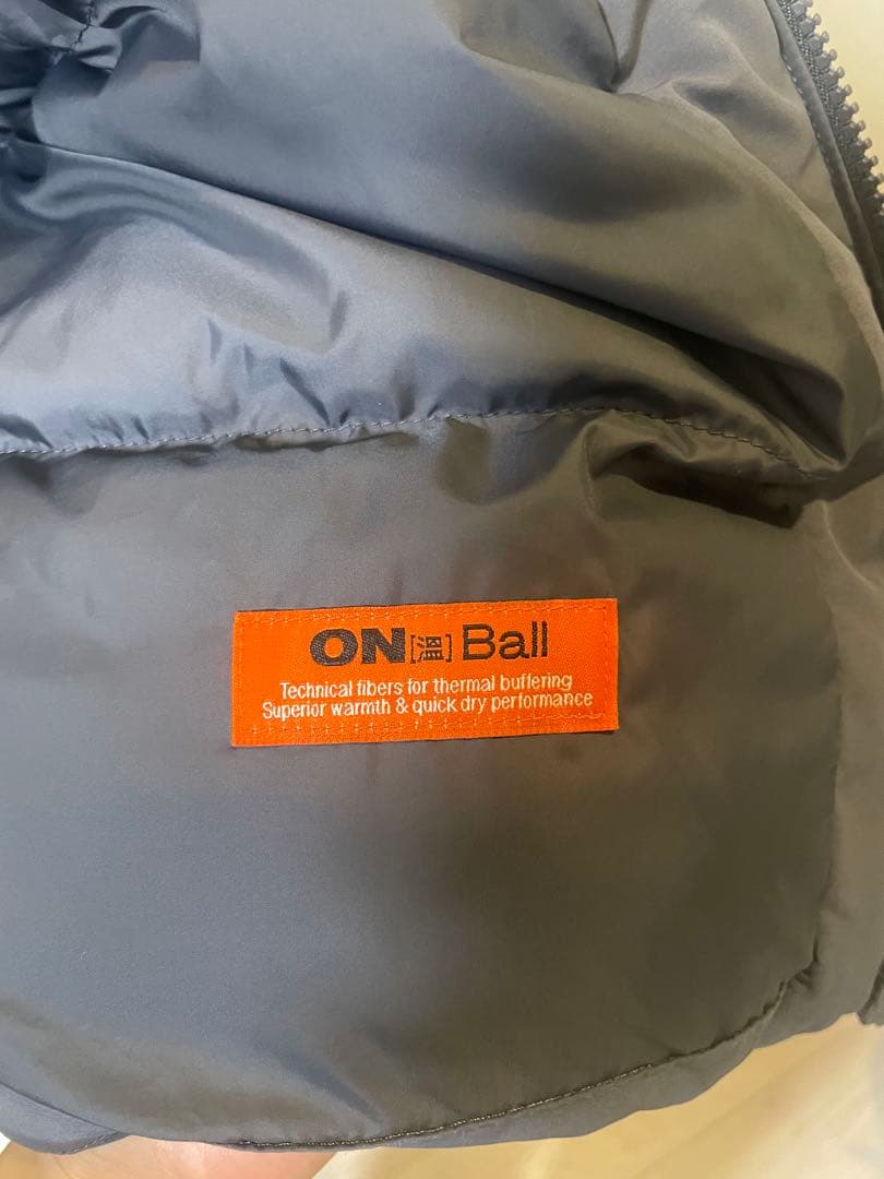 【国内未発売】THE NORTH FACE WHITE LABEダウンジャケット