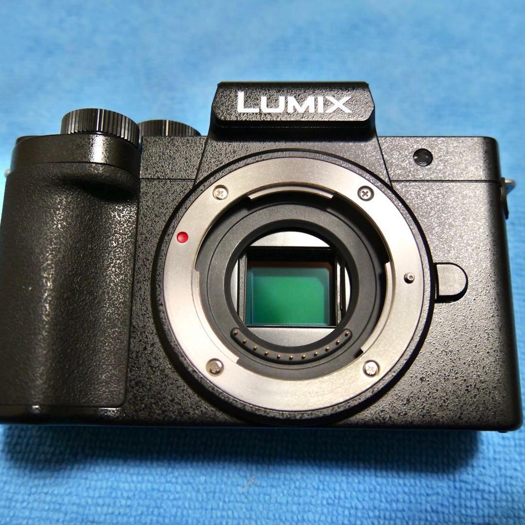 Panasonic LUMIX G100D ボディ