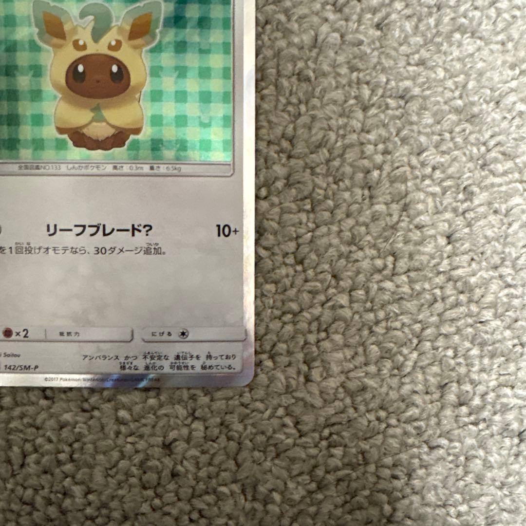 ポンチョを着たイーブイ リーフィア