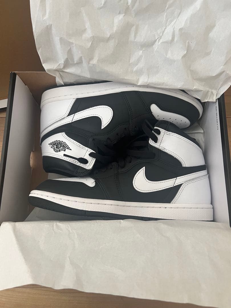 アンチョビDZ5485-010