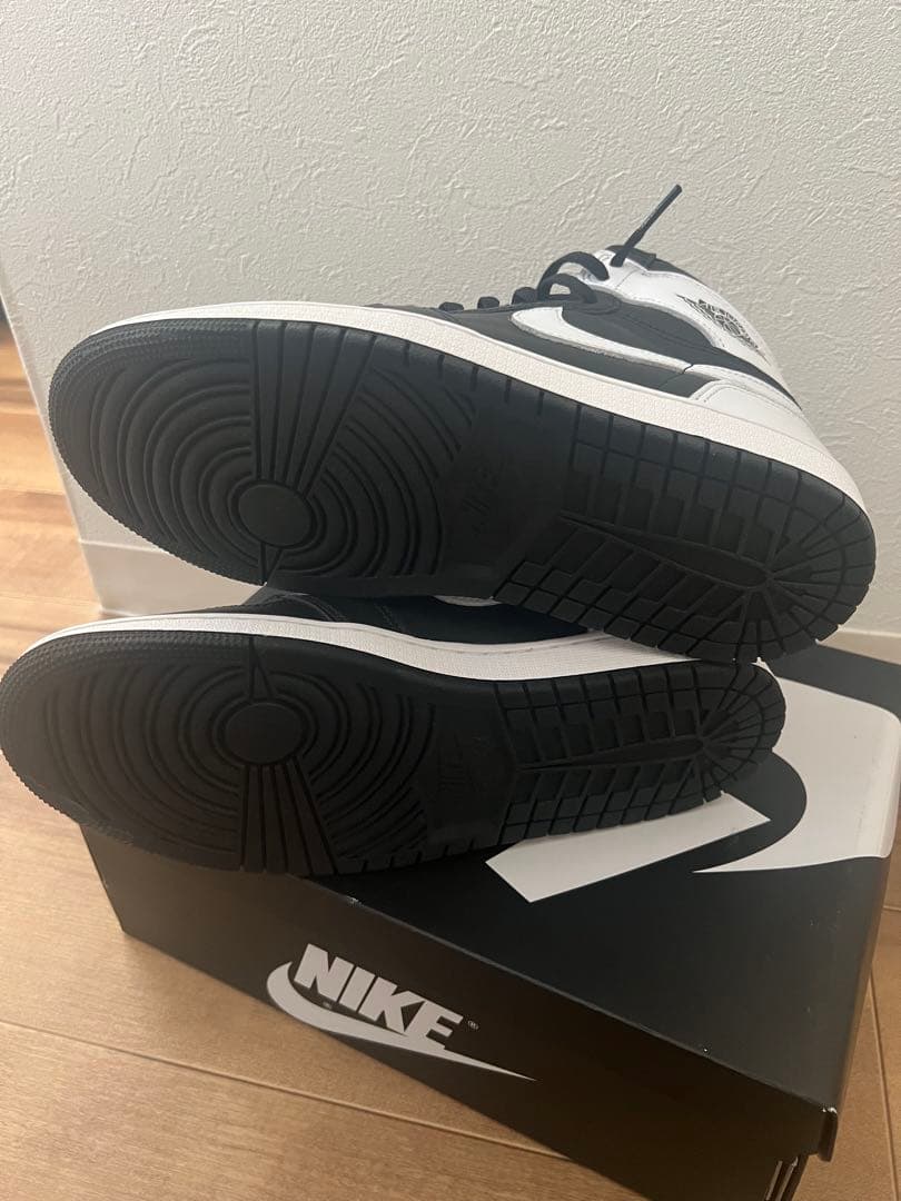 アンチョビDZ5485-010