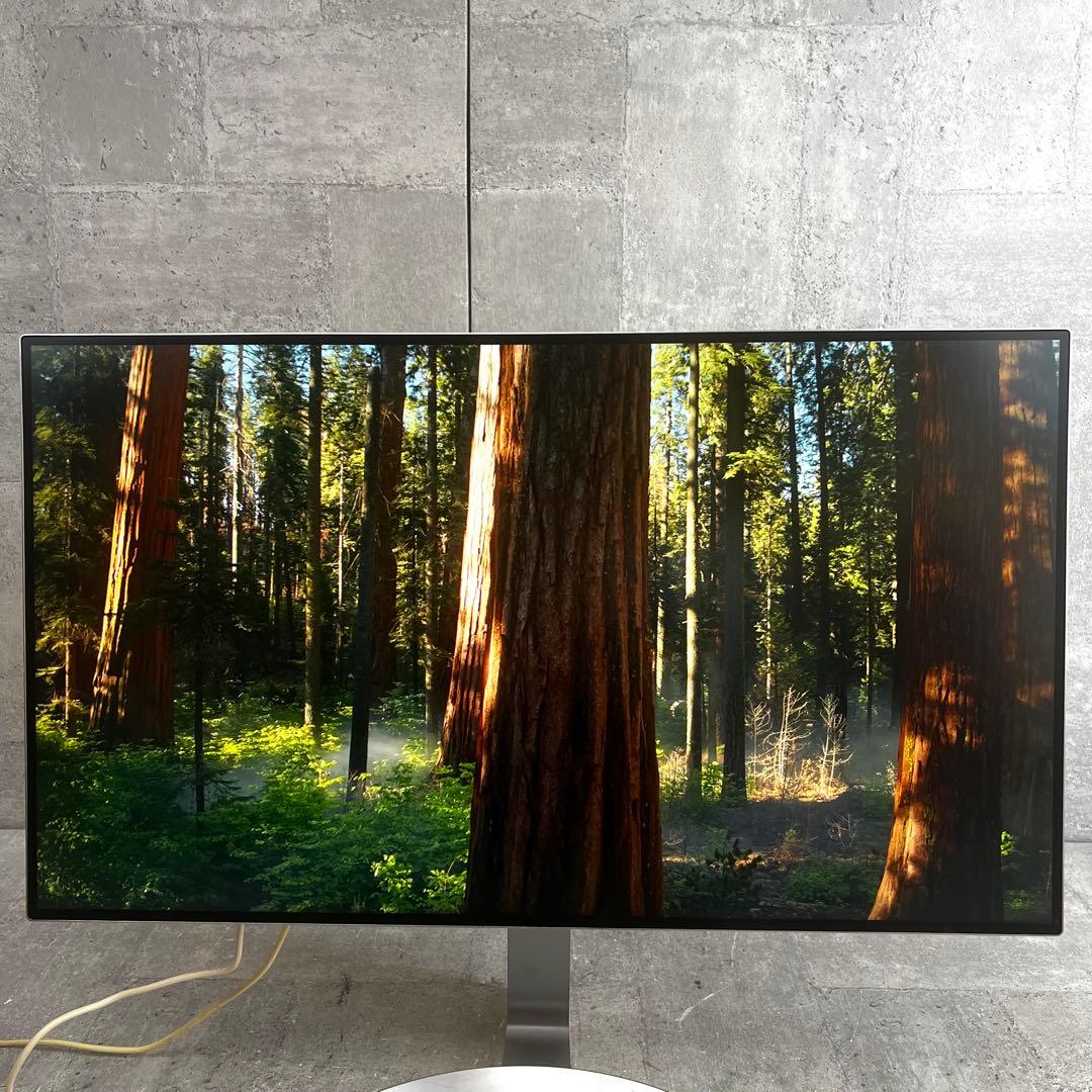 LG 4Kモニター ディスプレイ32UD99-W 31.5インチ