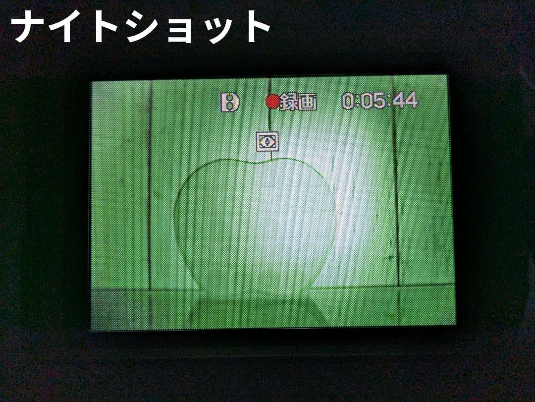 【豪華セット】SONY　DCR-TRV310　Digital8　8mm対応