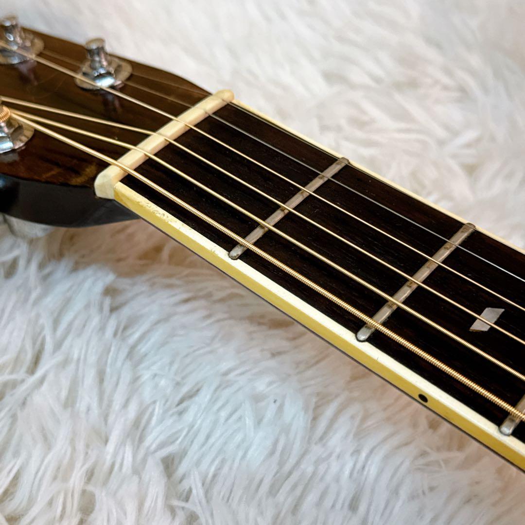 Rider CUSTOM MODEL R-500 アコースティックギター 林楽器