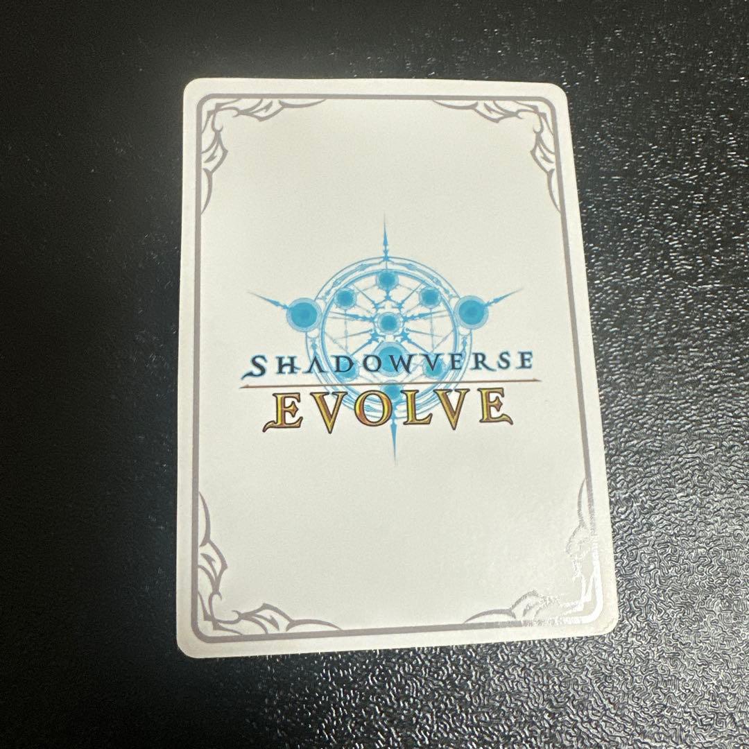 シャドウバースエボルヴ　境界を超えし者　ドロシー　リーダー