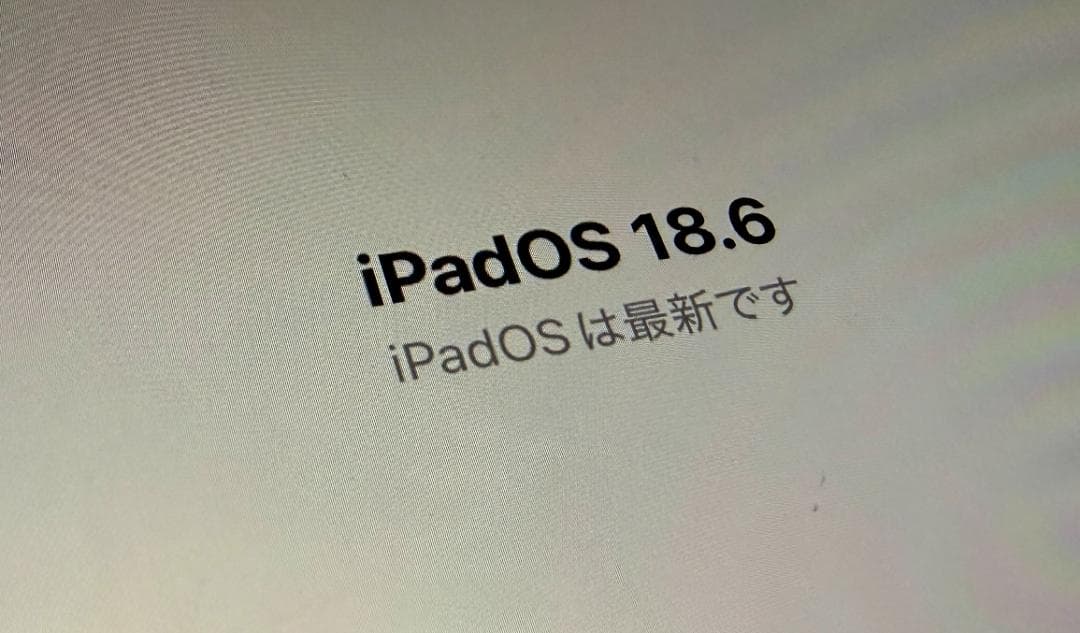 iPad Pro 12.9インチ 第3世代 256GB Wi-Fiモデル