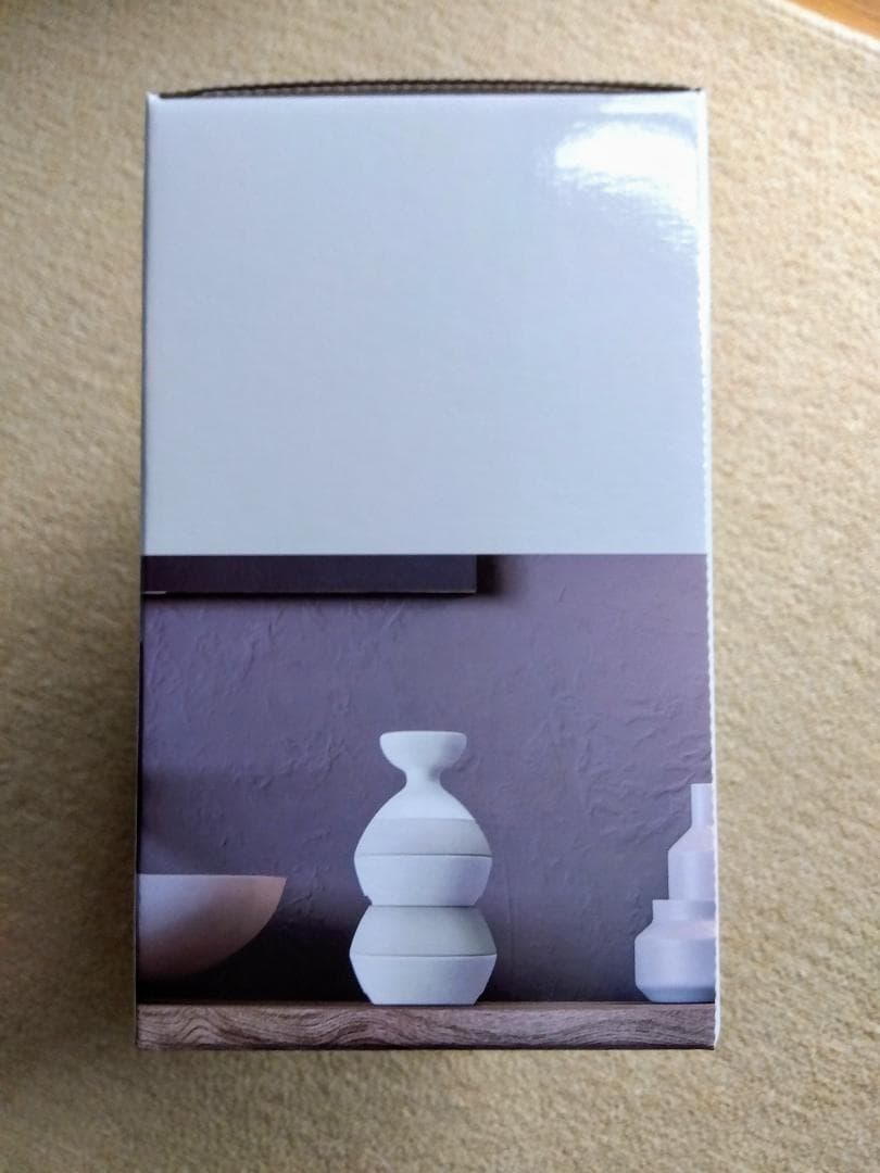 【新品未使用】パナソニックEH-HE0J-S 頭皮エステ スパイラル&スライド