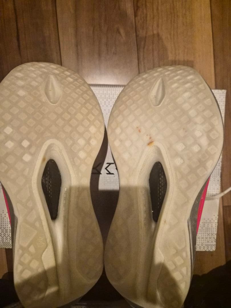 リーニン 李寧 FEIDIAN6 ELITE US7 245mm