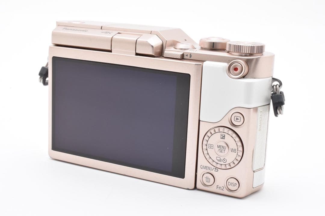 【美品】 パナソニック Panasonic LUMIX DC-GF9