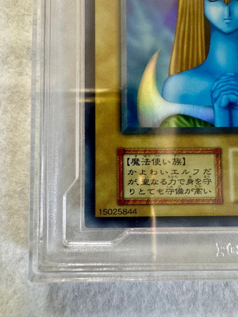 【PCG9.5】ホーリー・エルフ （初期）　極美品