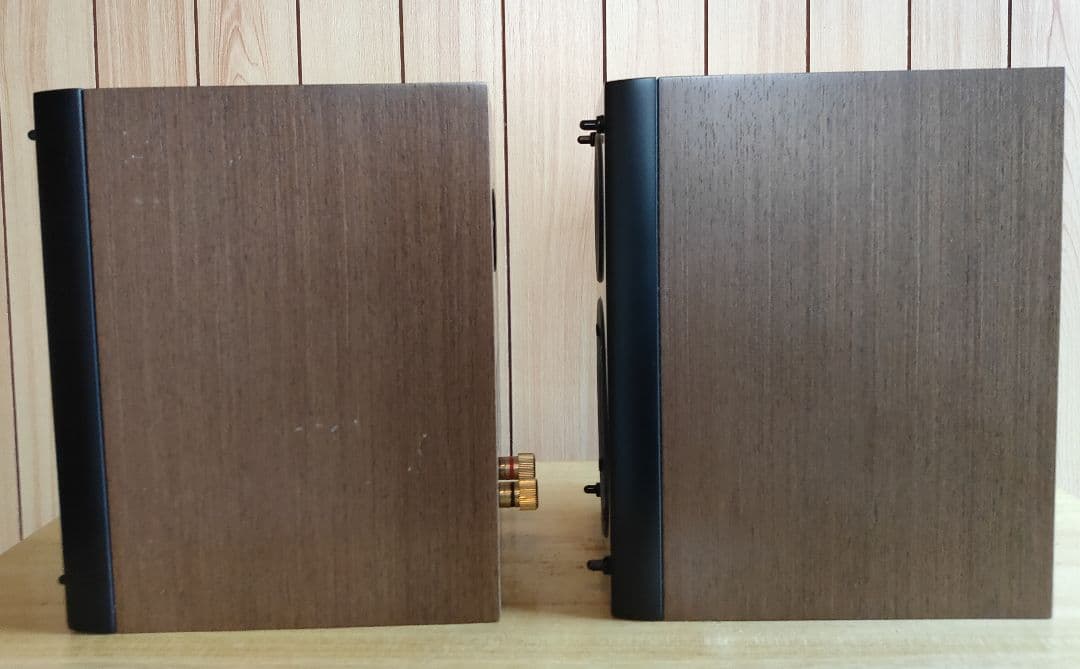 Pioneer S-CN301-LR　ブックシェルフスピーカー