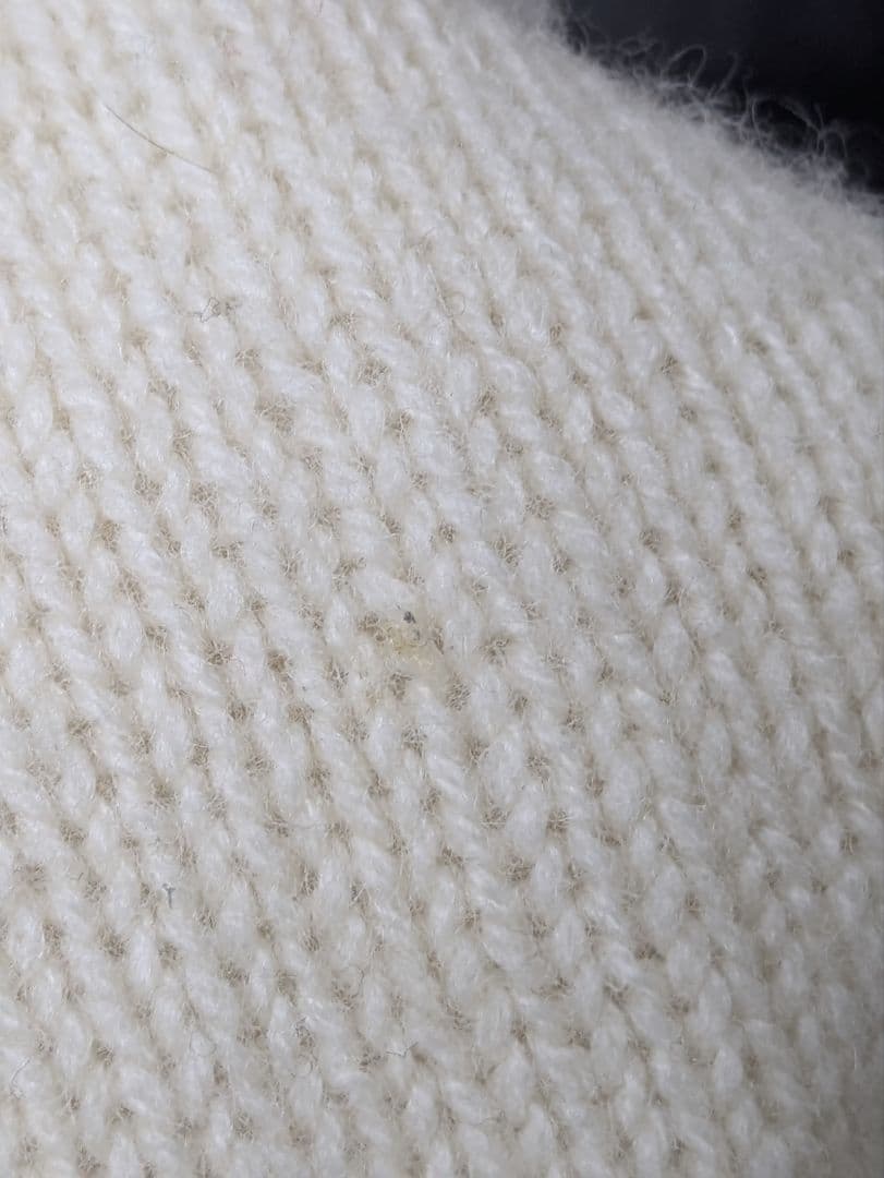 ポロラルフローレン ポロベア ニット レディース Mサイズ