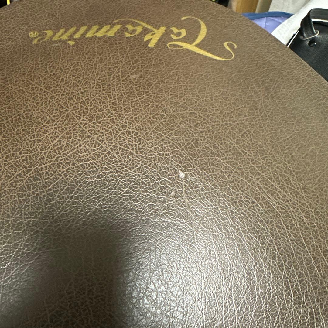 TAKAMINE P3FCN エレガッドギター超美品