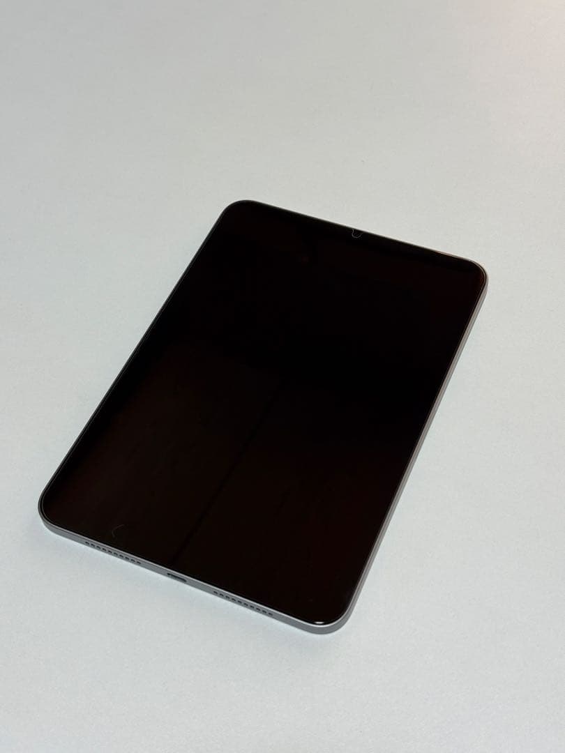 Apple iPad mini A17 Proスペースグレー WIFI 本体