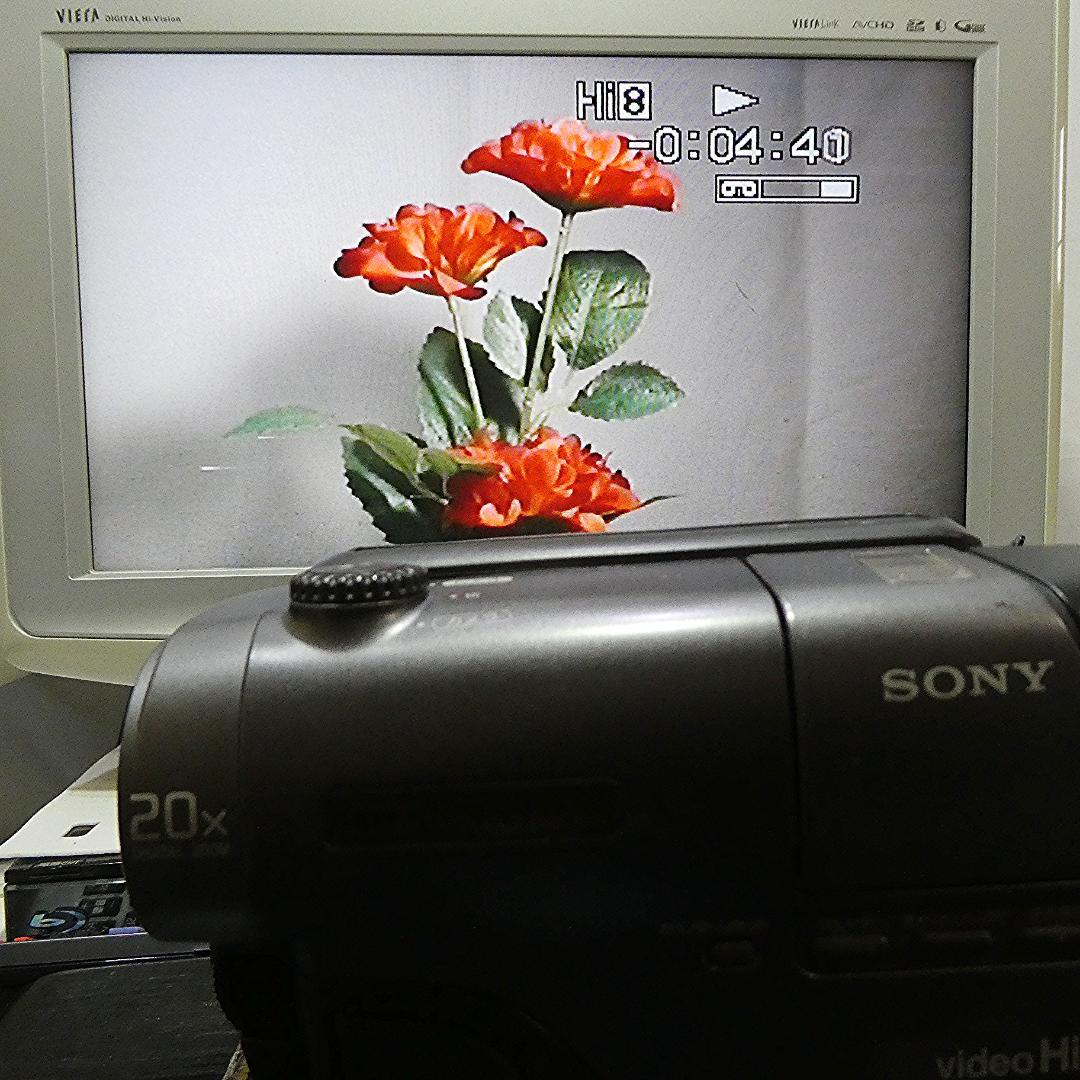 動作良好 ソニーVideoHi8 CCD-TR11 8ミリビデオ　DVD化に最適