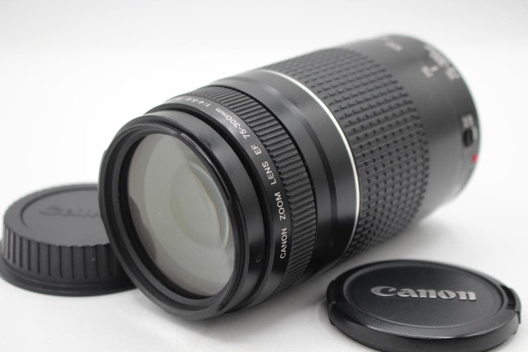 Canon キャノン EF 75-300mm F4-5.6 III◆5693