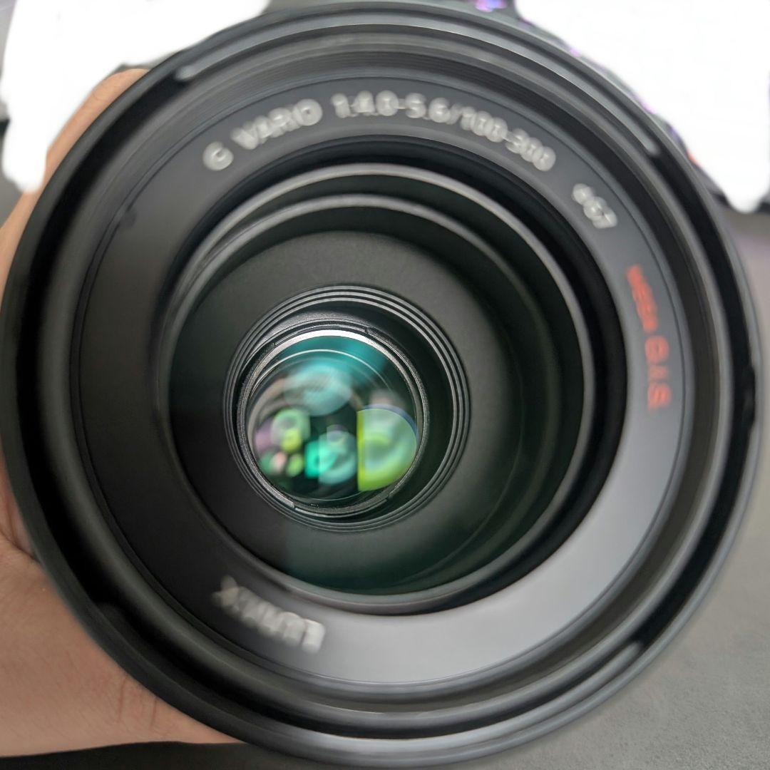 レンズ(ズーム) LUMIX G VARIO 100-300mm/F4.0-5.6