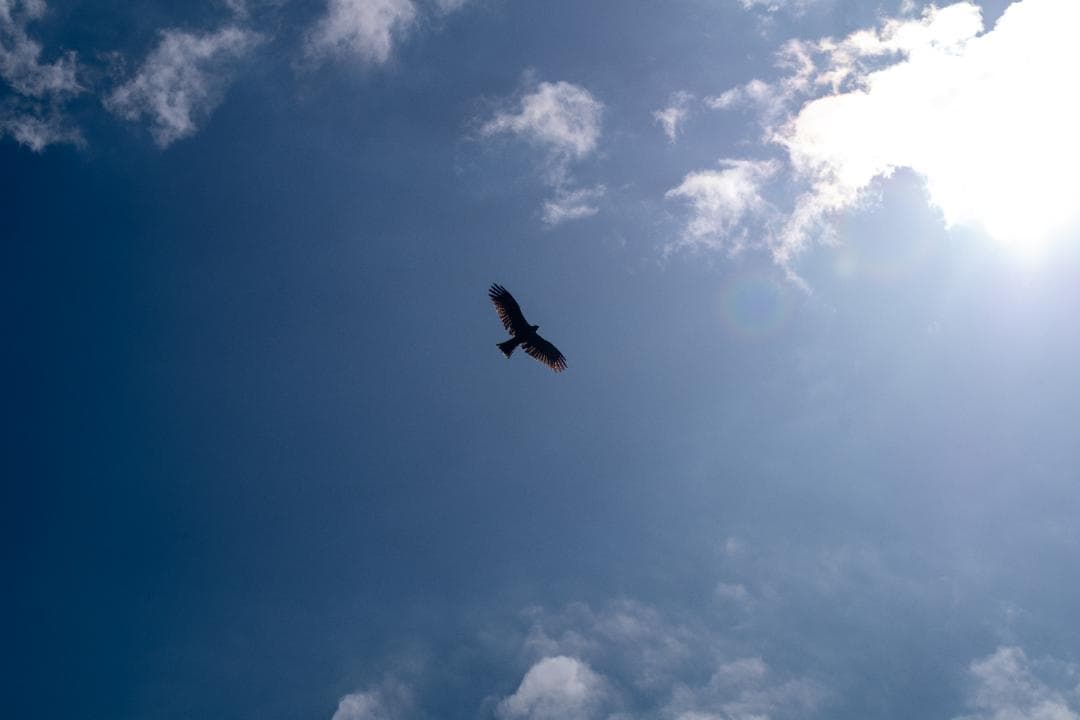 【黒死病対策】PENTAX K-S1 + 18-55 +純正充電器・バッテリー