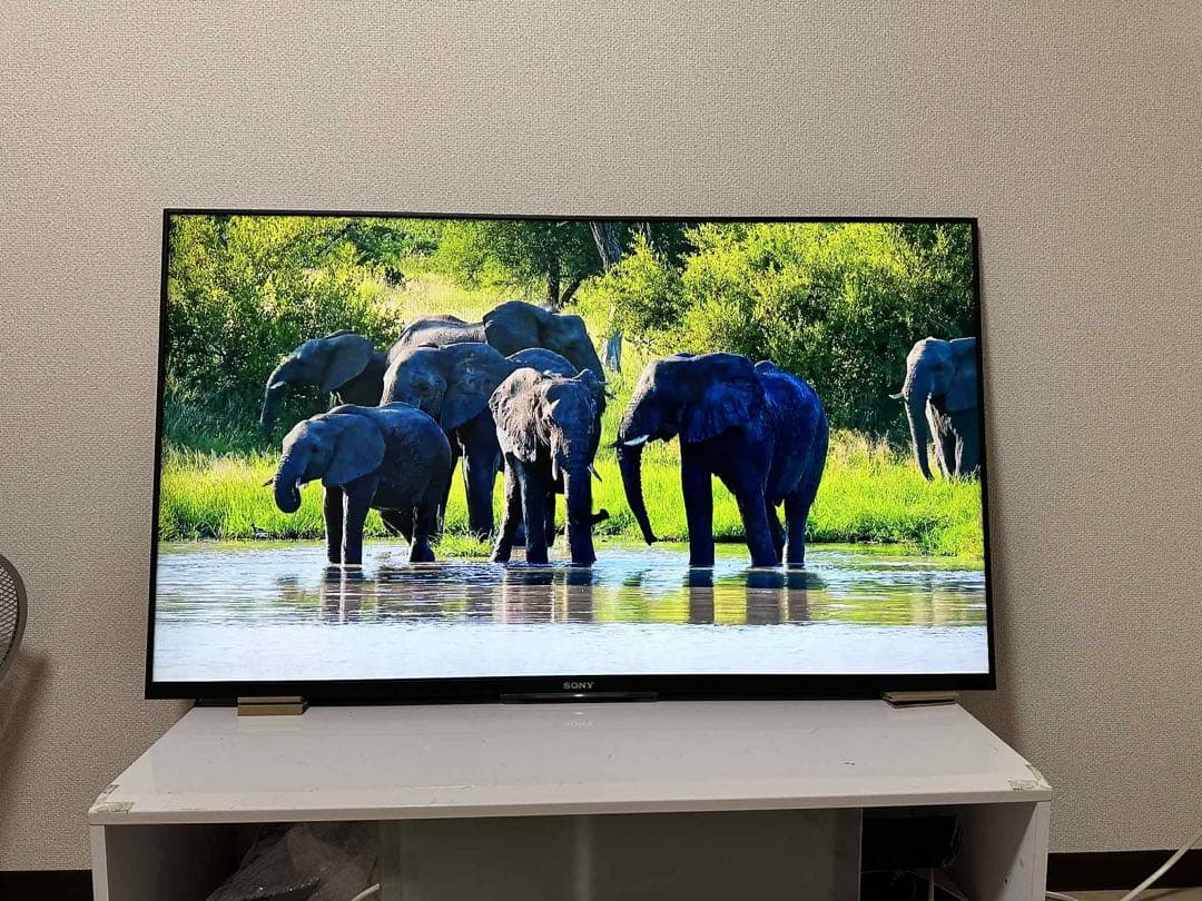 美品！SONY 液晶テレビ KDL 50W 800B 壁掛け用、スタンド無し
