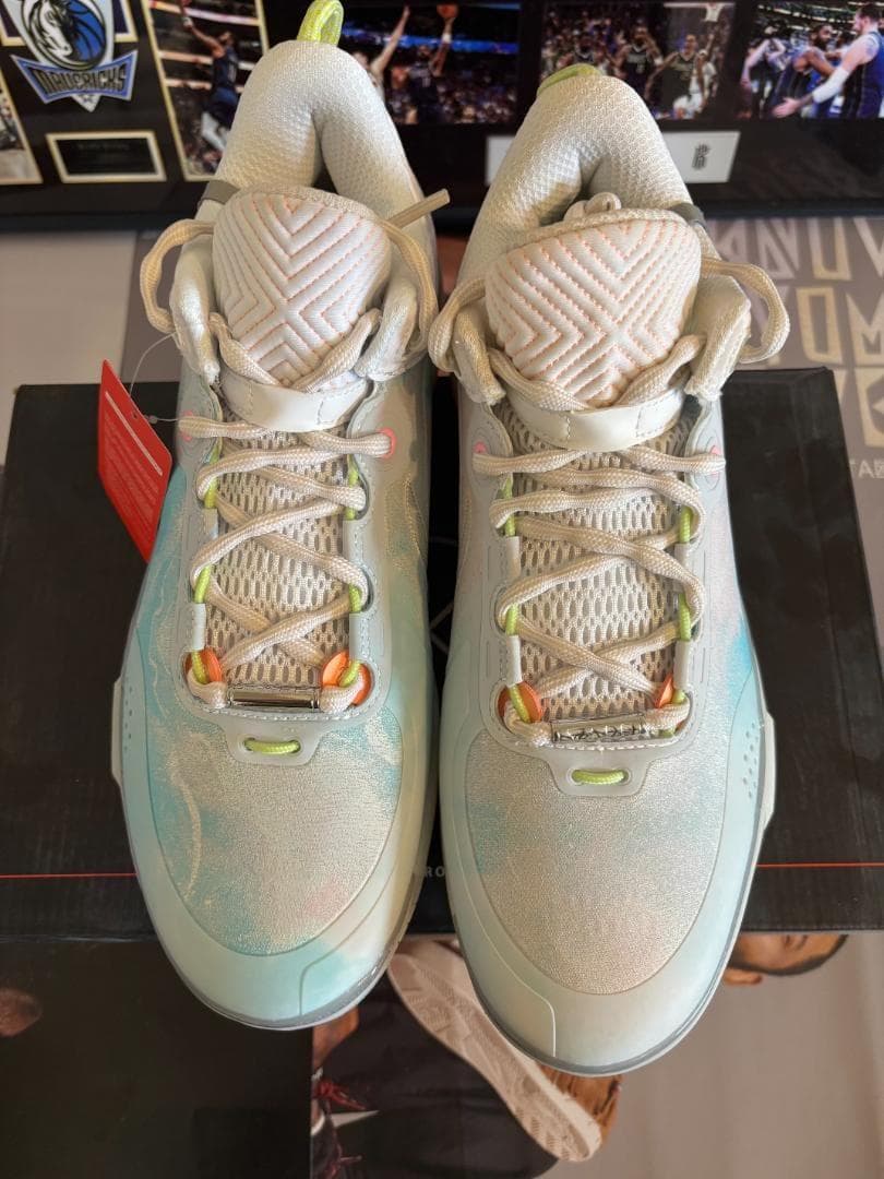 シューズ(男性用) Wade Shadow 6 US9.5