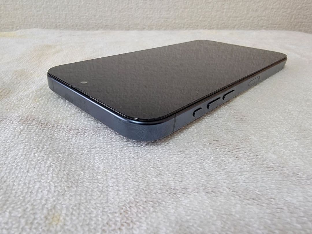 【極美品】iPhone 15 Pro Max 512GB 国内版/新品液晶交換済