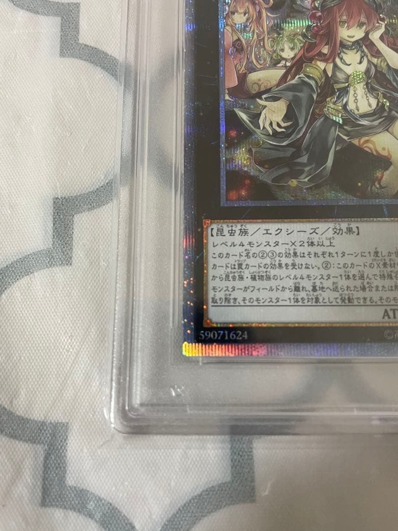 遊戯王　アロメルスの蟲惑魔　20th psa10
