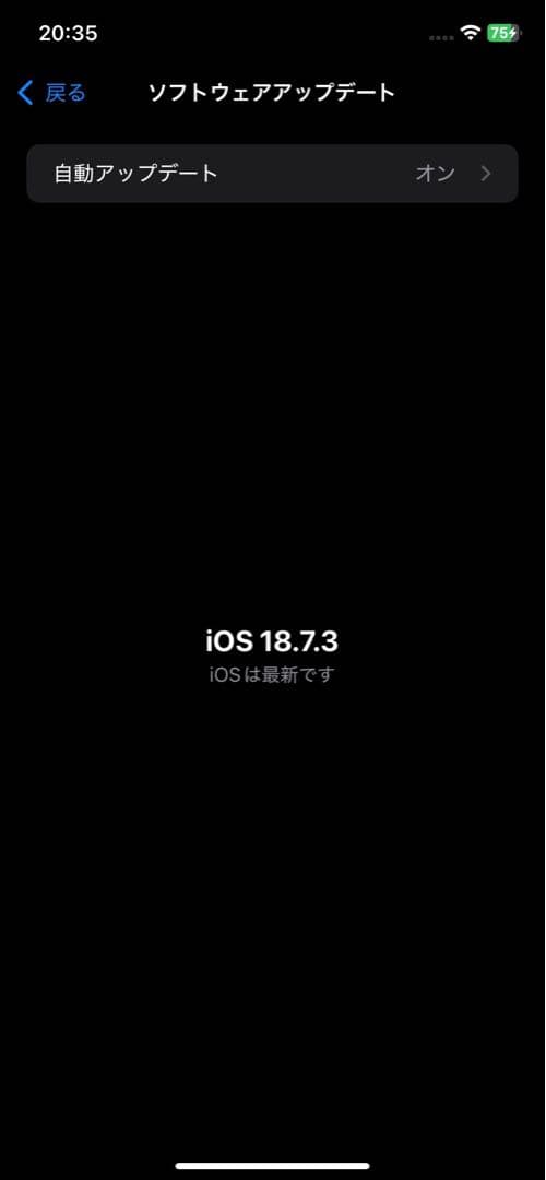 iPhone XR 256GB SIMフリー 中古品