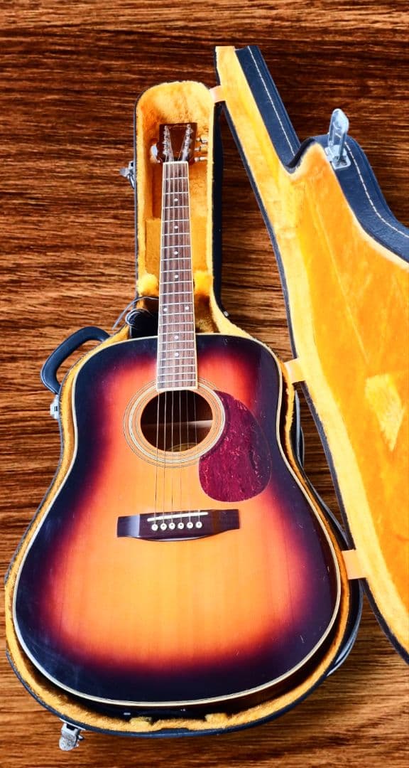 stafford スタッフォードSF-250D BSハードケース付属 ギター