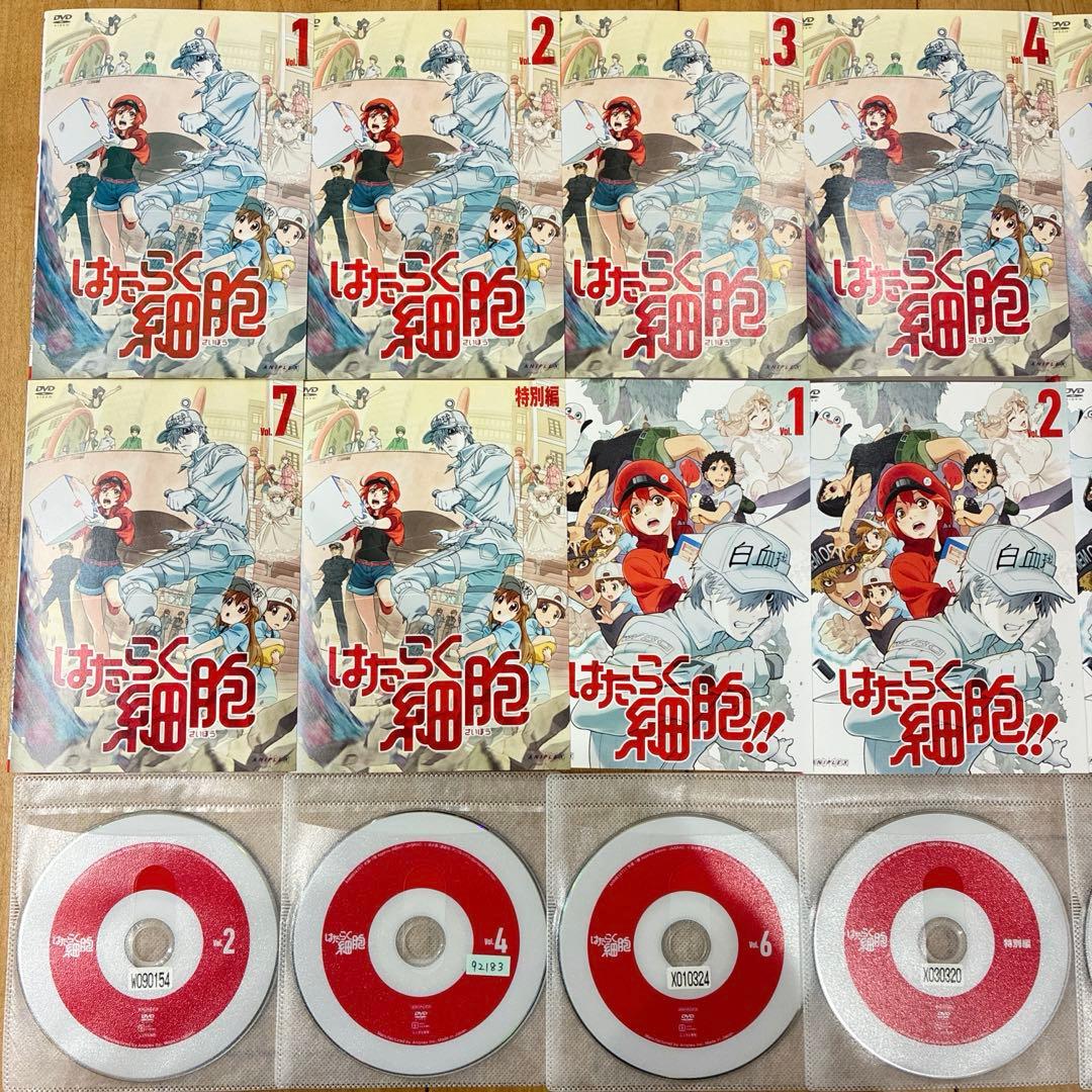 はたらく細胞　1期＋特別編＋2期　全12巻セット　完結　DVD　アニメ　匿名配送