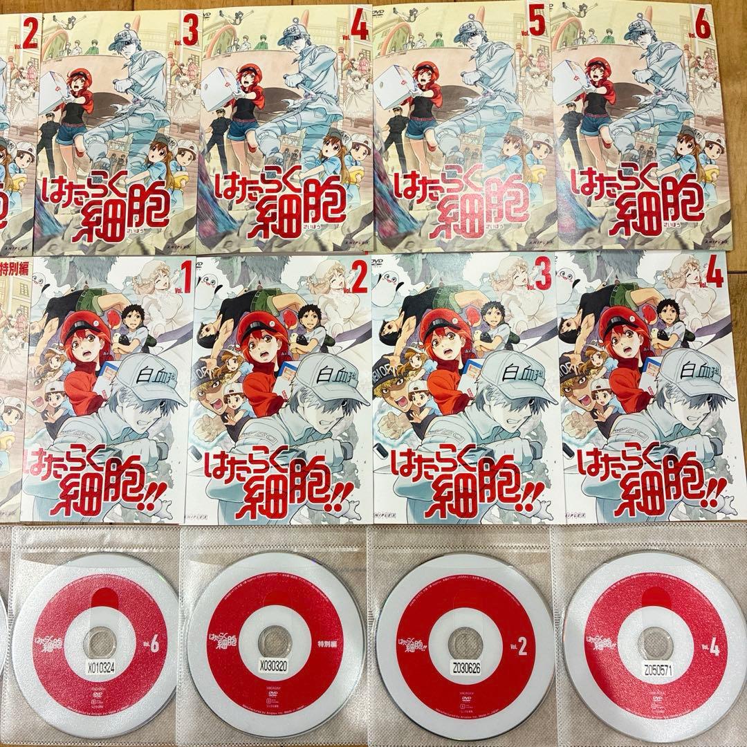 はたらく細胞　1期＋特別編＋2期　全12巻セット　完結　DVD　アニメ　匿名配送