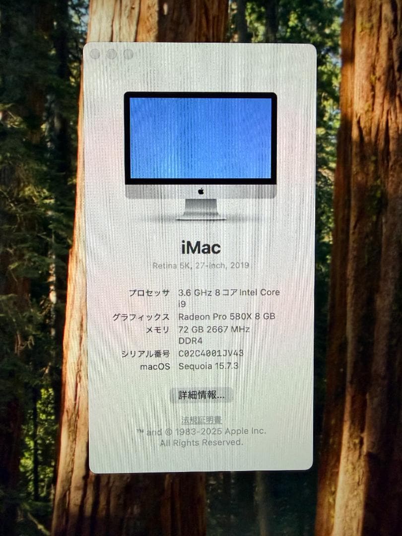 iMac2019 27インチ VESA/5K/i9/72GB/1TB SSD