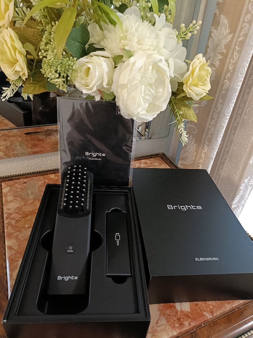 【ほぼ未使用】ブライトエレキブラシBrighte　ELEKI BRUSH