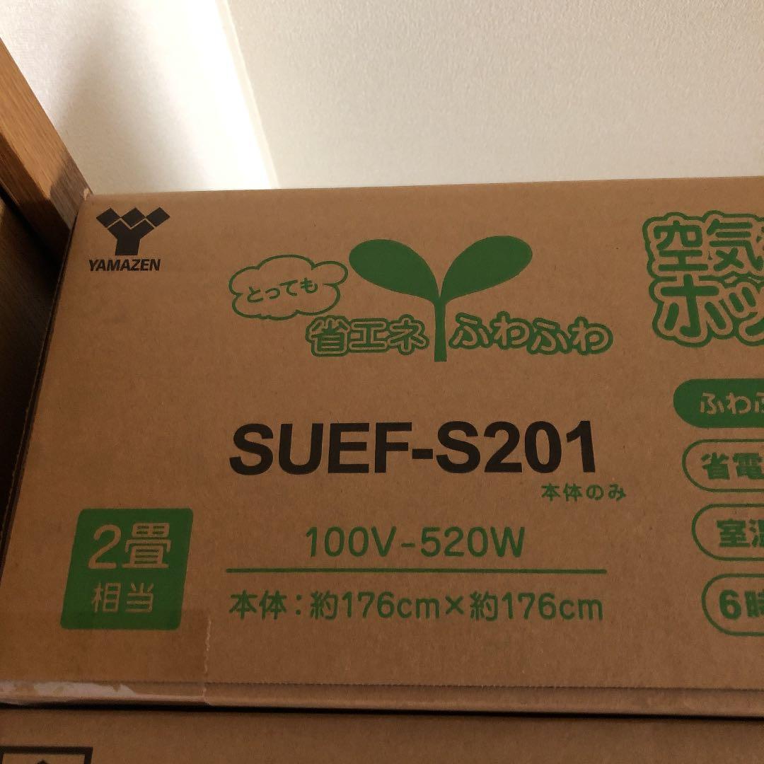 空気をきれいにするホットカーペット２畳