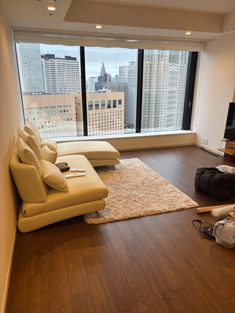 クリーム色 L字型ソファ 5つクッション付き