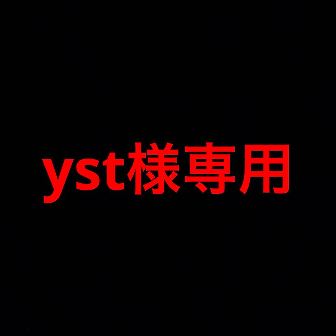 デジタルカメラ yst